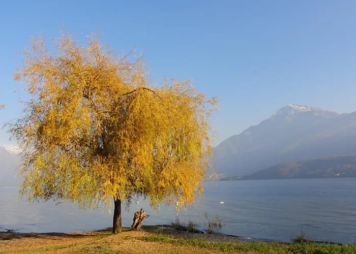 Gorgotto * גראבדונה