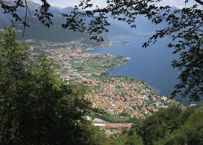 Gorgotto * 그라베도나