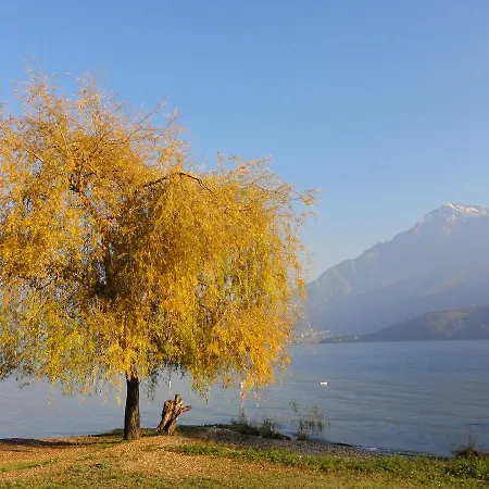 Gorgotto * غْرافيدونا