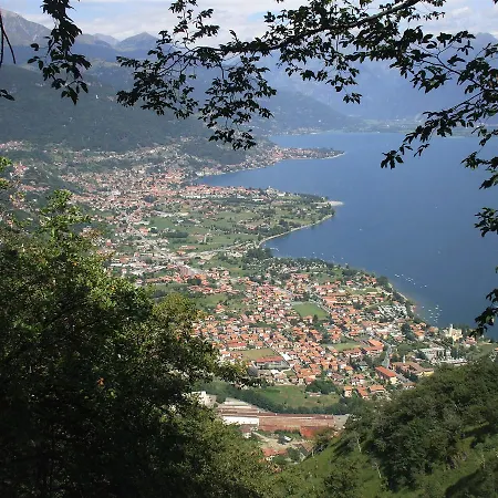 Gorgotto * غْرافيدونا